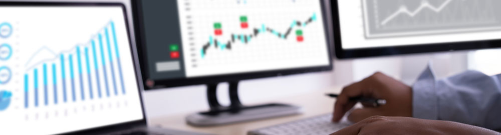 seo reports