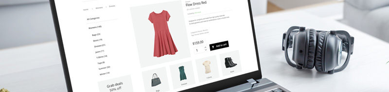 Ecommerce SEO