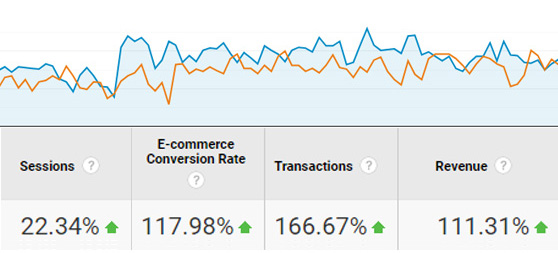 Results of SEO campaign
